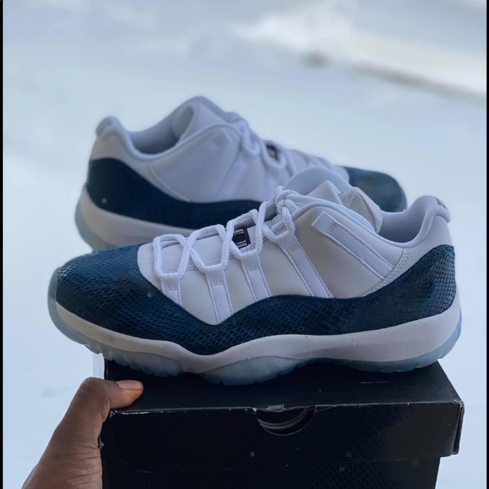 Jordan snake skin 11